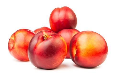 bergamont_AdobeStock_43117755