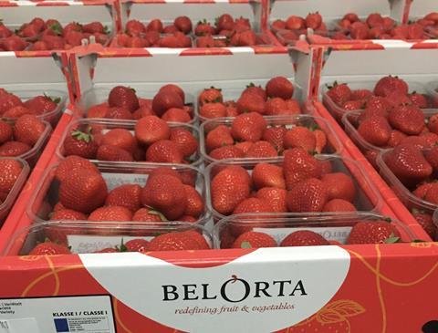 BelOrta strawberries