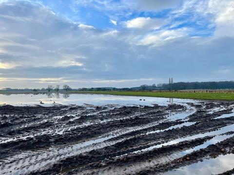 Flooded carrot field York