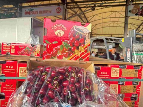 Camposol cherries China A