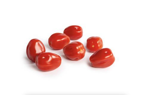 Rijk Zwaan Abrametto RZ tomatoes