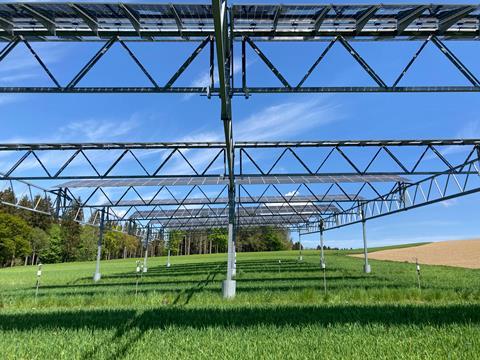 Hoch aufgeständerte Agri-PV Anlagen können Pflanzen vor Extrem-Wettern schützen.  Foto: Universität Hohenheim / Schweiger