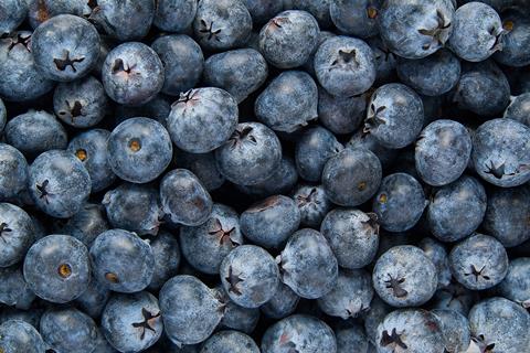 Blueberries