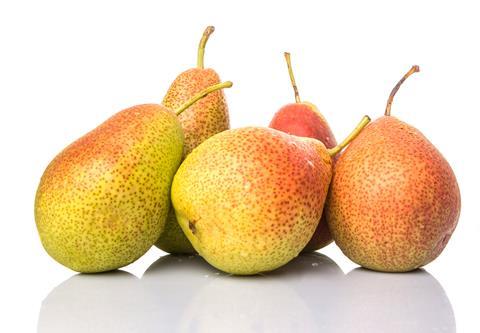 South African Forelle pears