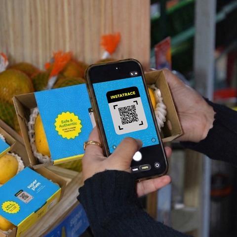 Consumer using an InsaTrace code on Superplum mango pack