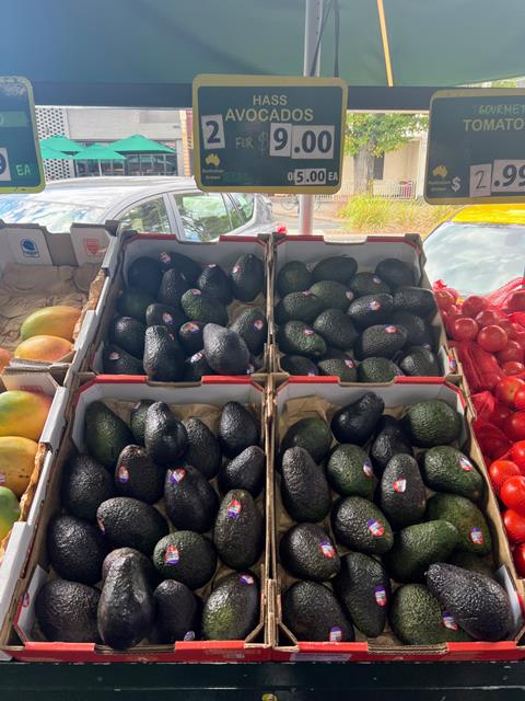 AU avocados Melbourne market