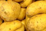 frühkartoffeln_Web_06.jpg