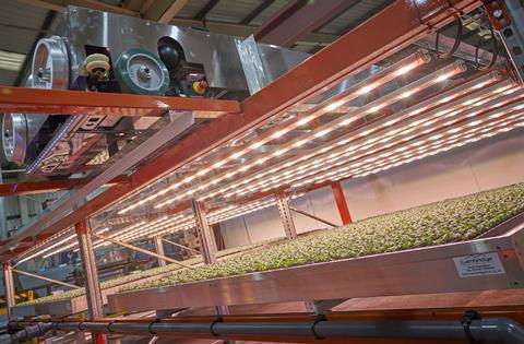 CropCam analyses leafy crops in a vertical farm