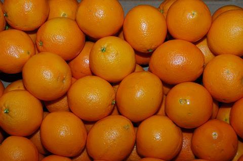Besonders der Import von Orangen hat zugenommen. (Foto: Schmidt)