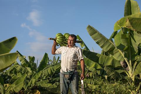 Juan Roberto - Image credit - Ángela Ponce_ Fairtrade_Fairpicture