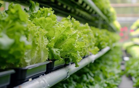 Vertical farms have shelves of crops stacked on top of each other in a controlled environment