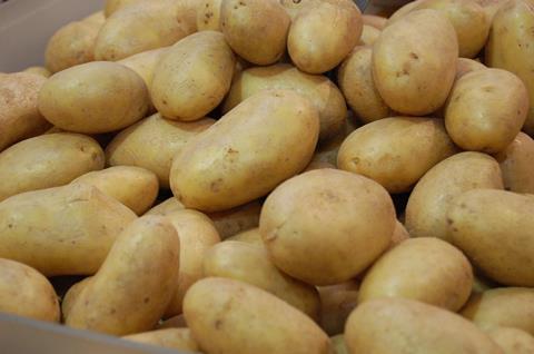 kartoffeln_web_02.jpg