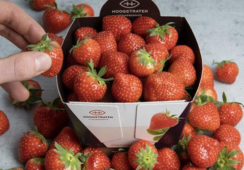 Hoogstraten strawberries carton