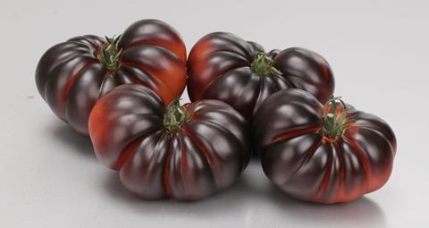 Yuksel Sweetloom tomatoes wide pic