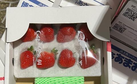 Wismettac strawberries with QR codes on the boxes