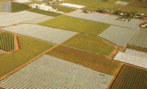 Landscape Farm