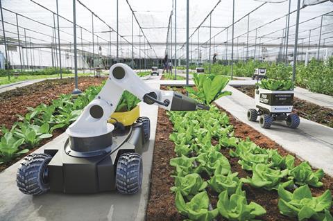 Robotics in greenhouse leafy greens