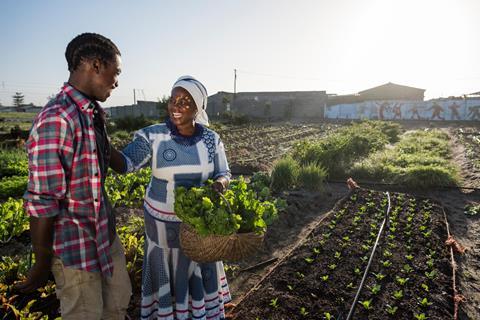 Africa smallholder farmers Bayer