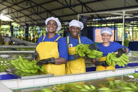Bananenernte in Kolumbien