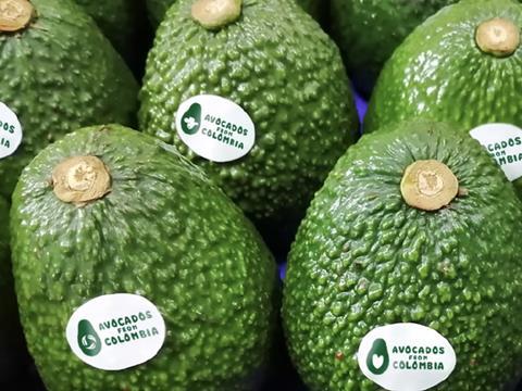 Avocados From Colombia