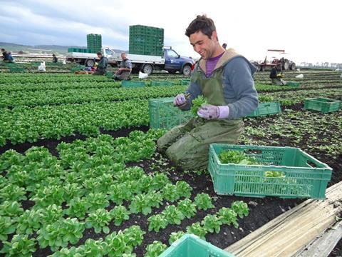 Schweiz: Gemüse Erzeuger Seeland positioniert sich als AG neu im Markt