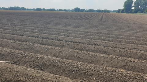 Ein Feld in Deutschland