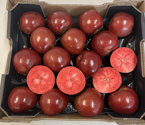 The red-fleshed apples were bred in France
