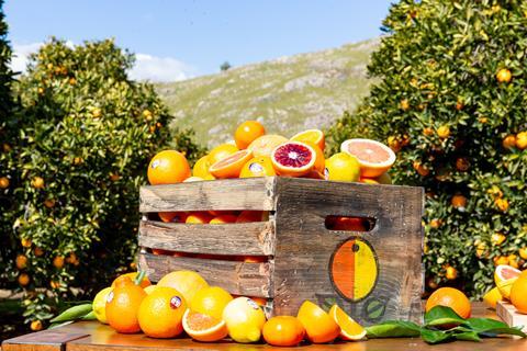 Sunkist mixed citrus in wooden box