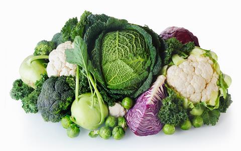 diverser Kohl-exclusive_design_ AdobeStock_76465407