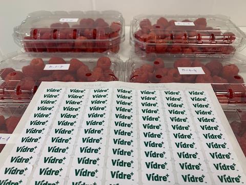 Fresh Inset Vidre+ stickers raspberries
