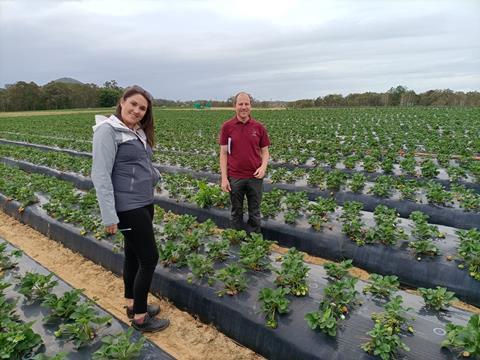 (l-r) Levity Crop Science's Anna Weston and David Marks visit ASD Strawberries in Western Australia