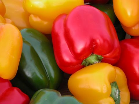Paprika Spanien - W. Schmidt 1