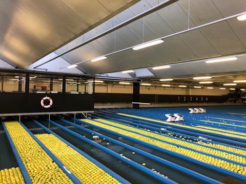 State-of-the-art systems for sorting and grading VIP apples