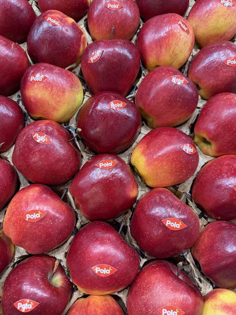 Poland apples Pola
