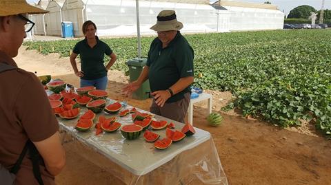 Nunhems® stellt neue Melonen- und Wassermelonensorten vor