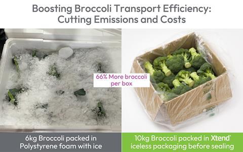 StePacPPC green packaging boosts broccoli transport efficiency