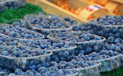 heidelbeeren polen