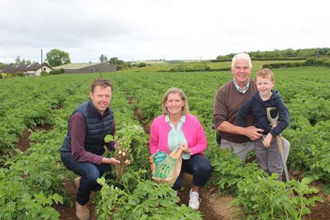 Comber potatoes