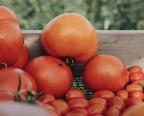 Tomatoes