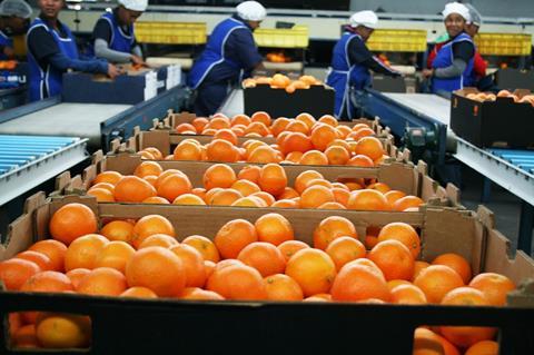 Südafrika: Rekordernte bei Soft Citrus