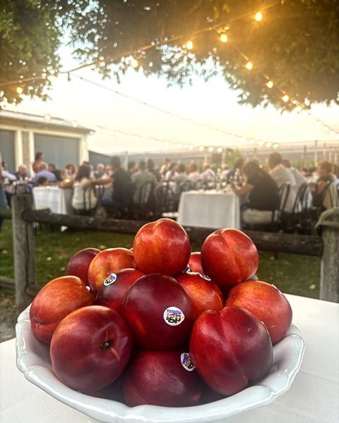 Nectarines promo event