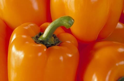 Niederlande_gelbe_paprika.jpg