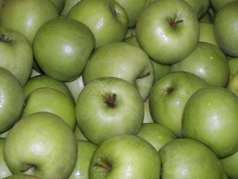 Italienba_022_02.jpg