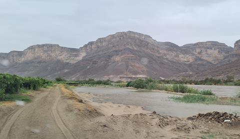 South Africa landscape