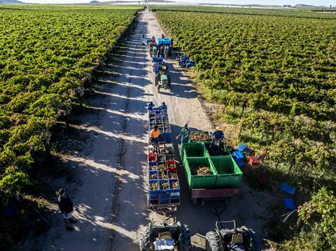 The upcoming raisin harvest in South Africa is expected to be eight per cent bigger than the last