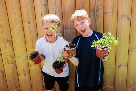 Getting children involved in growing tomatoes can encourage them to eat veg