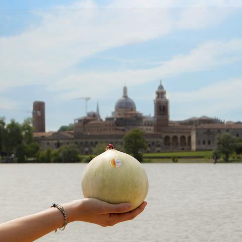 Mantova Melons Mantua