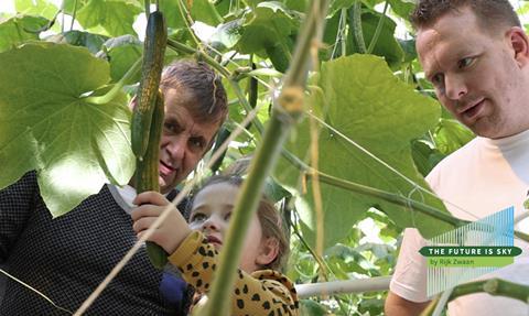 Rijk Zwaan cucumbers The future is sky