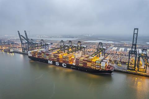 MSC Allegra in Belgium