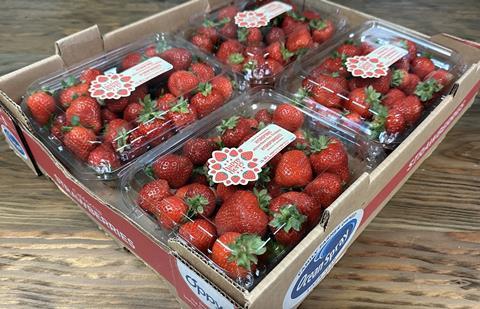 Happy Berry Oppy Ocean Spray strawberries hydroponic
